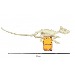 Esqueleto de Rata 37 cm.