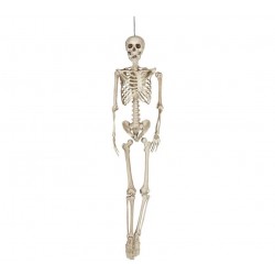 Esqueleto 160cm.