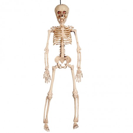 Esqueleto con Luz 41 cm.
