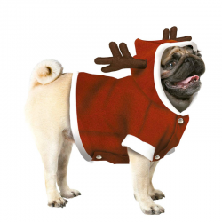 Disfraz Dog Reindeer para mascotas