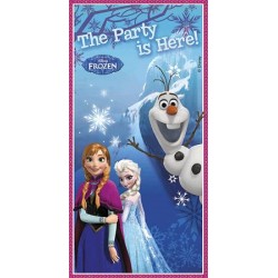 Poster Puerta Frozen